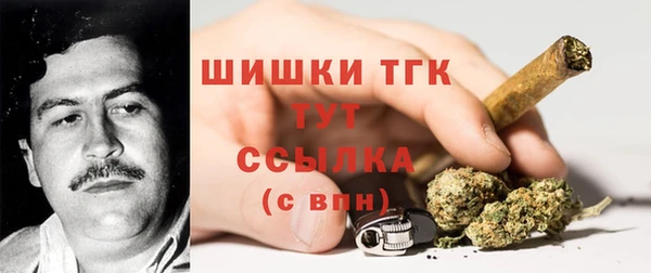 крисы Аркадак