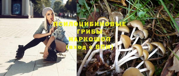тгк Арсеньев