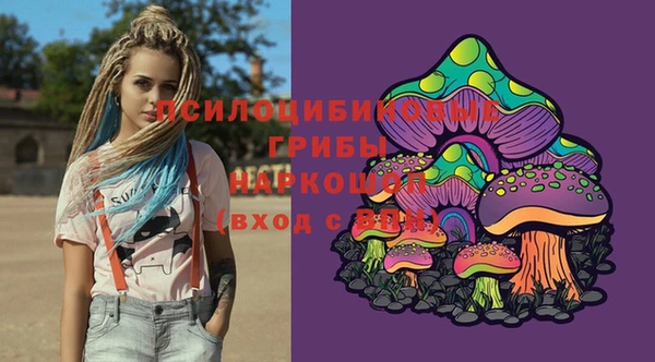 Альфа ПВП Армянск