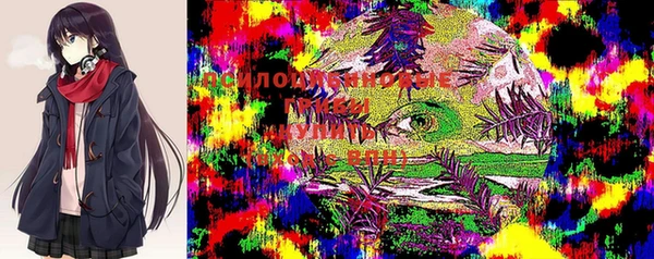тгк Арсеньев