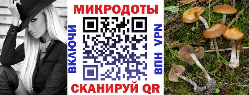 Галлюциногенные грибы прущие грибы Зубцов